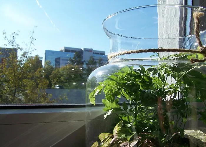 Διαμέρισμα Bright Side Koszutka *