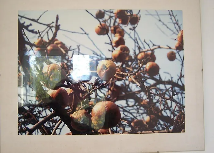 Bright Side Koszutka Apartamento